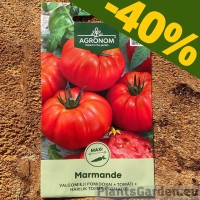 -40% AGRONOMi seemnetele!