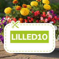 KÕIK LILLESEEMNED –10%