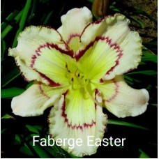 Päevaliilia Faberge Easter