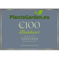 Kinkekaart €100