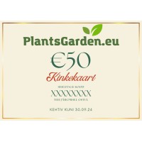 Kinkekaart €50