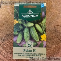 Огурец Polan F1