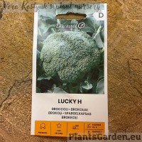 Брокколи Lucky F1