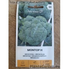 Broccoli Montop H