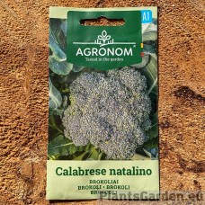 Brokkoli Calabrese Natalino