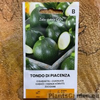 Kabatšokk (Suvikõrvits) Tondo Di Piacenza