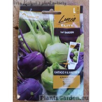 Nuikapsas Kartago F1 & Ametyst F1