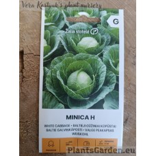 Valge peakapsas Minica F1