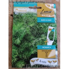 Dille Monarch (Sēklas lentē)