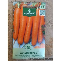 Carrot Amsterdam 2