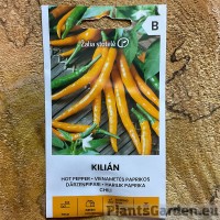 Kibe pipar Kilian (30 000 - 50 000 SHU)