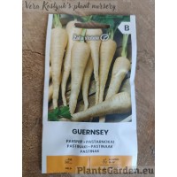 Pasternaks Guernsey
