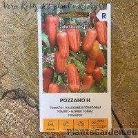 Tomat Pozzano F1