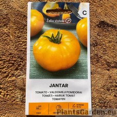 Tomat Jantar