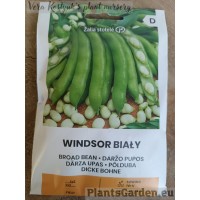 Põlduba Windsor Bialy