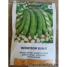 Bean Broad Windsor Bialy