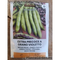 Põlduba Extra Precoce A Grano Violetto