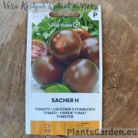 Tomat Sacher F1