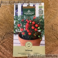 Tomato Vilma