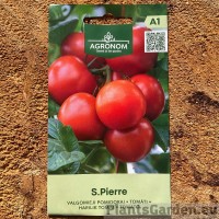 Tomat Saint Pierre