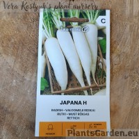 Daikon Japana F1