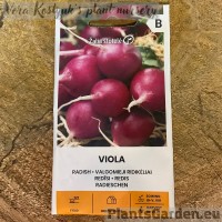 Редис Viola