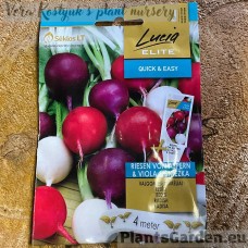 Redis Riesen von aspern * Viola * Sniezka