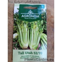 Lehtseller Tall Utah 52/70