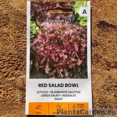 Lehtsalat Red Salad Bowl