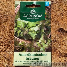 Lehtsalat Amerikanischer Brauner