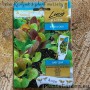 Aedsalatite segu Baby Leaf