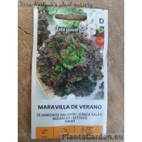 Salat Maravilla De Verano