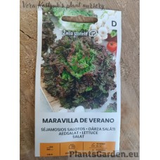 Salat Maravilla De Verano