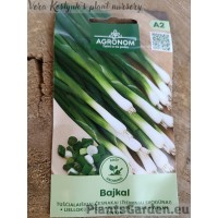 Sīpols Velsas Bajkal