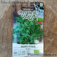 Parsley Gigante D'Italia