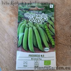 Peas Wrinkled Progress N.9