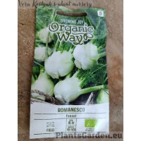 Fenhelis 'Romanesco'