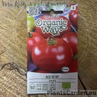 Tomato Ace 55 Vf
