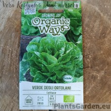 Lettuce Verde Degli Ortolani