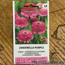 Pruudisõlg Zinderella Purple