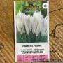 Pamparohi Pampas Plume valge