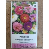 China Aster Princess Mix