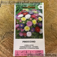 Aedaster Pinocchio Mix