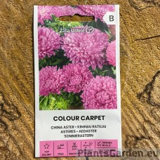 Aedaster Colour Carpet