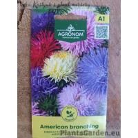 Астра American Branching