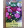 China Aster Colour Carpet Mix.