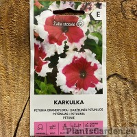 Petuunia Grandiflora Karkulka