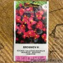 Begoonia Broumov F1