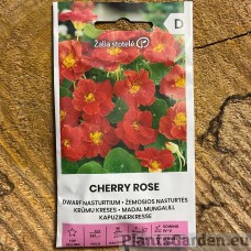 Madal mungalill Cherry Rose