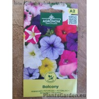 Петуния Balcony